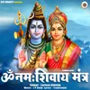 About Om Namah Shivay Mantra Song